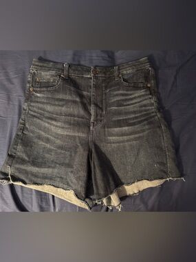 American Eagle Denim Wash Denim High Wasted Shorts